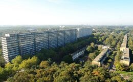 vogelvlucht